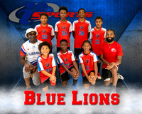 Blue Lions