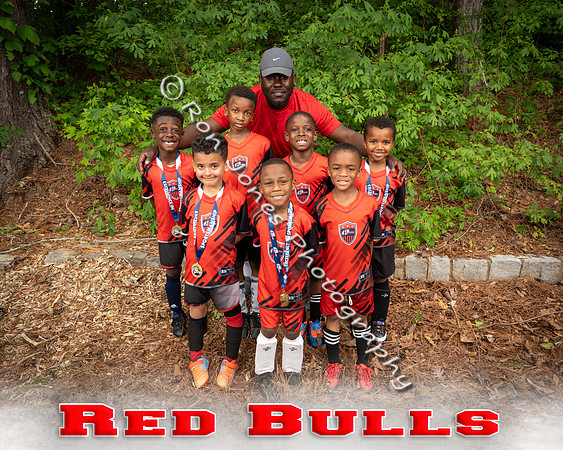 Red Bulls