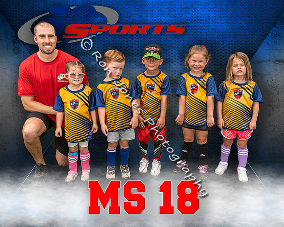 MS 18