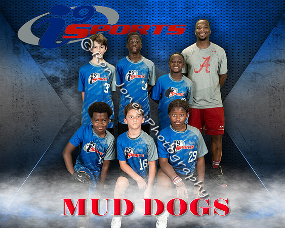Mud Dogs