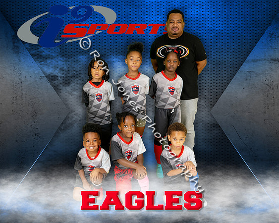 Eagles Gray