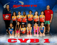 CVB 1