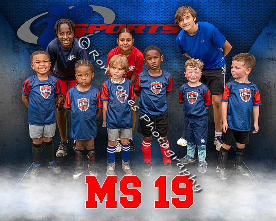 MS 19