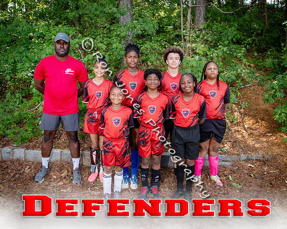 Defenders