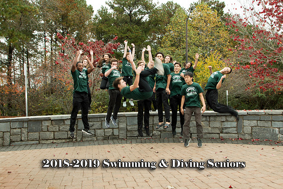 SwimDive2018-13