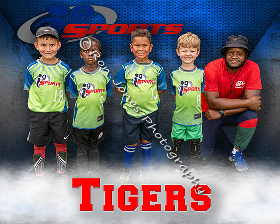 Tigers