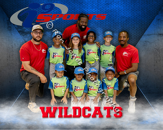 Wildcats