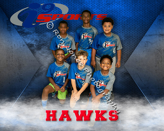 Hawks