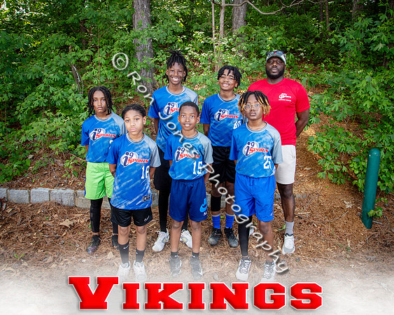 Vikings