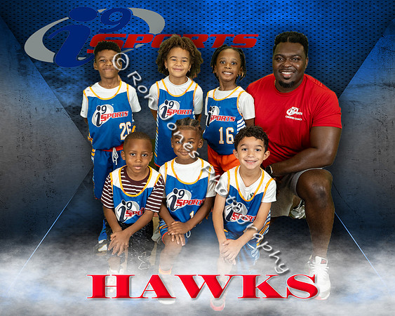 Hawks