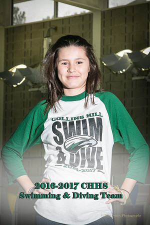 CHHS SD 2016-33