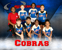 Cobras