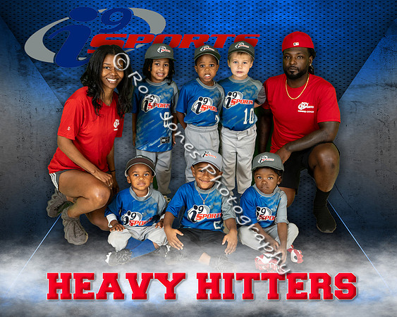 Heavy Hitters