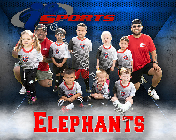 Elephants