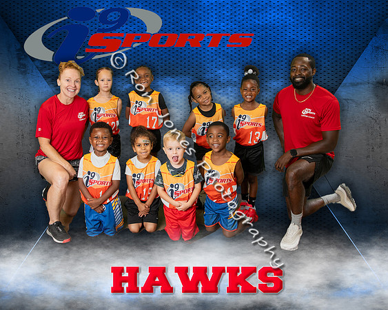 Hawks
