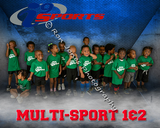 Multi-Sport 1&2