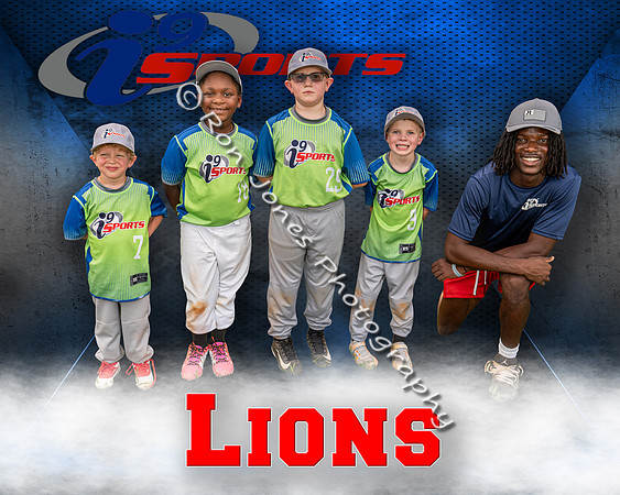 Lions