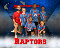 Raptors