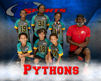 Pythons
