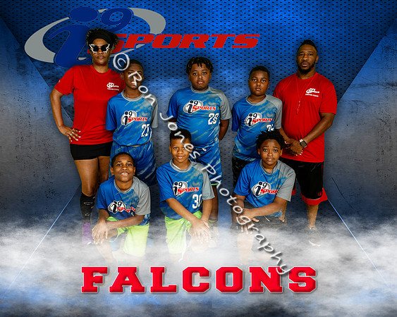 Falcons JR Flag 01