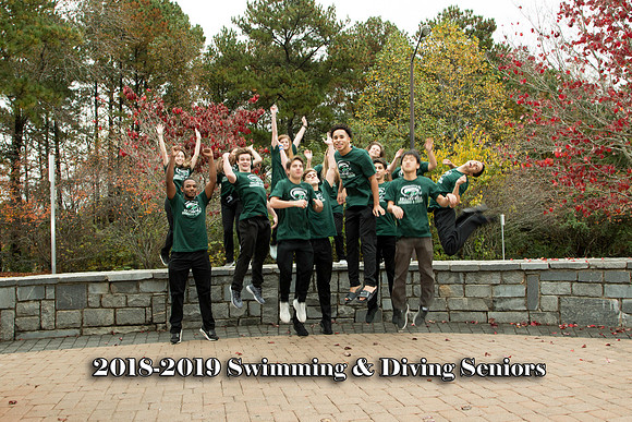 SwimDive2018-11
