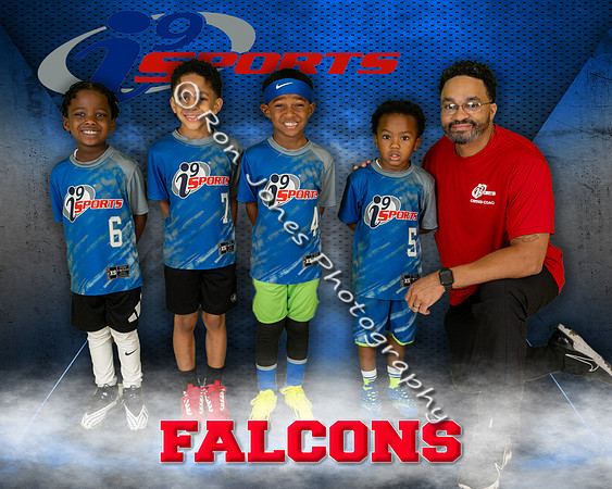 Falcons