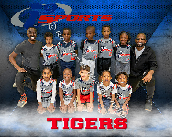 Tigers