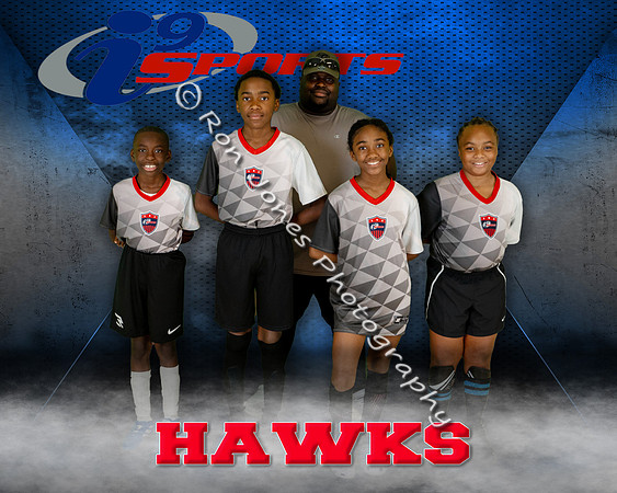 Hawks