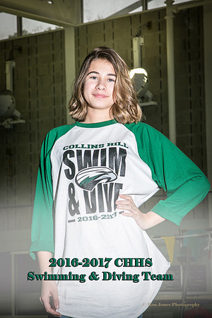 CHHS SD 2016-32