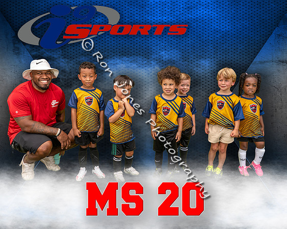 MS 20