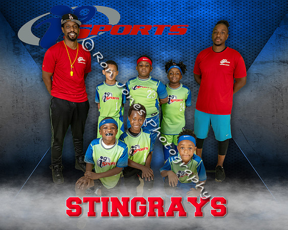 Stingrays