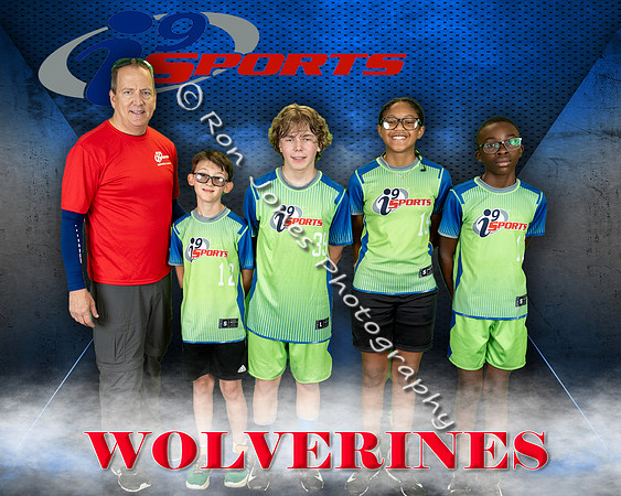 Wolverines
