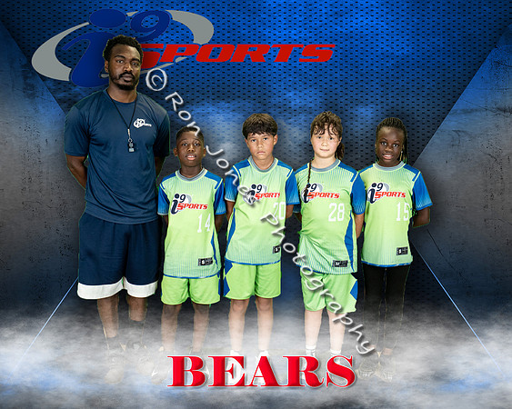 Bears