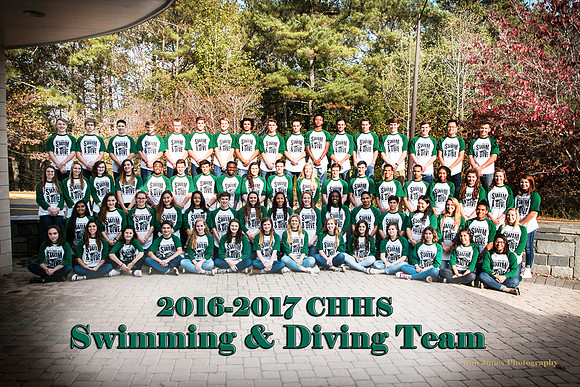 CHHS SD 2016-4